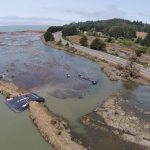 Humboldt Bay Levee Breach Plug