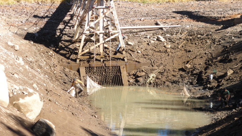 Lake Independence Intake Canal Isolation, 2014