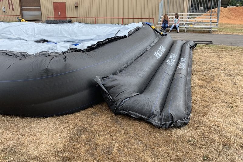 Dogapalooza 2019!