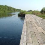 Lacassine National Wildlife Refuge AquaDam 2004