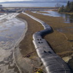 Kilisut Harbor Bridge Construction and Estuary Restoration Project