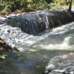 Stream Diversion for Concrete Check Dam Apple Creek, CA, 2001