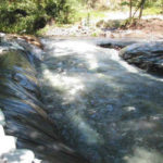 Stream Diversion for Concrete Check Dam Apple Creek, CA, 2001