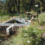 Stream Diversion for Concrete Check Dam Apple Creek, CA, 2001