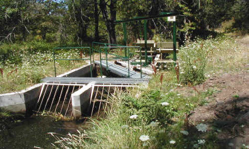 Stream Diversion for Concrete Check Dam Apple Creek, CA, 2001