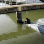 Boat Ramp Repair: Tennessee River, Chattanooga, TN (2003)