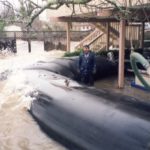 Home Owner Flood Protection, Clearlake, California