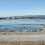 Dewatering for Amphitheatre Construction Foster City, CA (2002)