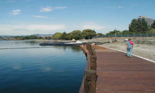 Dewatering for Amphitheatre Construction Foster City, CA (2002)