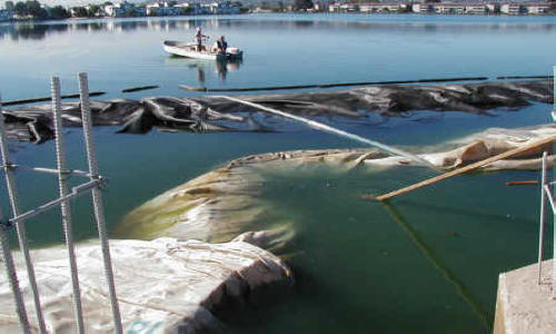 Dewatering for Amphitheatre Construction Foster City, CA (2002)