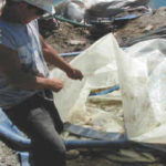 Dewatering for Amphitheatre Construction Foster City, CA (2002)