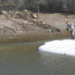 Dewatering Tidal Canal for Water Intake Repair Fremont, CA (2002)