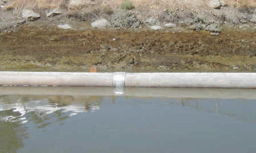 Dewatering Tidal Canal for Water Intake Repair Fremont, CA (2002)