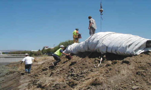 Dewatering Tidal Canal for Water Intake Repair Fremont, CA (2002)