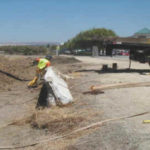 Dewatering Tidal Canal for Water Intake Repair Fremont, CA (2002)