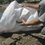 Dewatering Tidal Canal for Water Intake Repair Fremont, CA (2002)