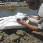 Dewatering Tidal Canal for Water Intake Repair Fremont, CA (2002)