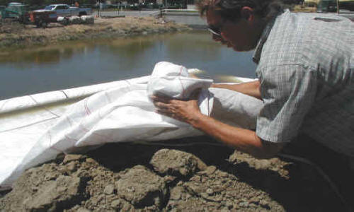 Dewatering Tidal Canal for Water Intake Repair Fremont, CA (2002)