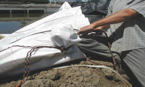 Dewatering Tidal Canal for Water Intake Repair Fremont, CA (2002)