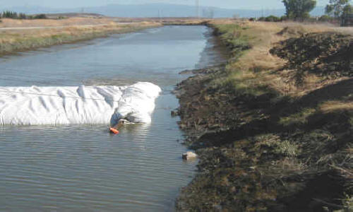 Dewatering Tidal Canal for Water Intake Repair Fremont, CA (2002)