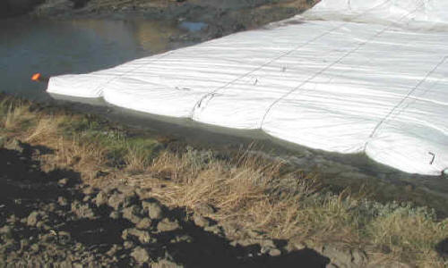 Dewatering Tidal Canal for Water Intake Repair Fremont, CA (2002)