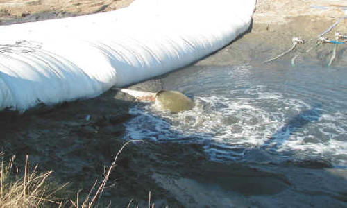 Dewatering Tidal Canal for Water Intake Repair Fremont, CA (2002)