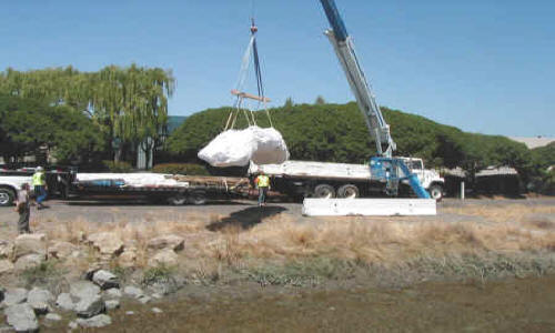 Dewatering Tidal Canal for Water Intake Repair Fremont, CA (2002)