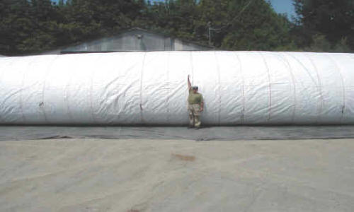 Dewatering Tidal Canal for Water Intake Repair Fremont, CA (2002)