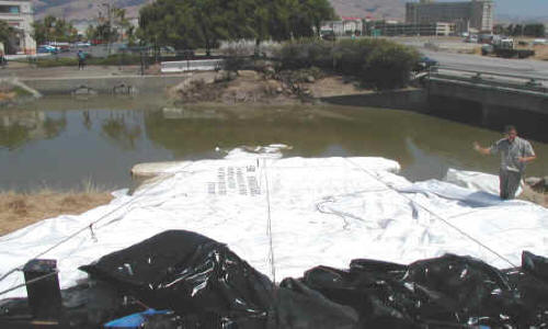 Dewatering Tidal Canal for Water Intake Repair Fremont, CA (2002)