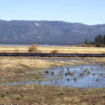 Wetlands Restoration Lake Tahoe Keys, CA