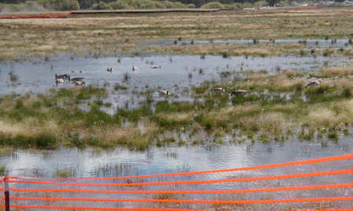 Wetlands Restoration Lake Tahoe Keys, CA