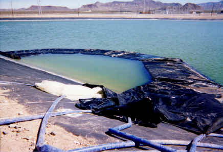 Pond Liner Repair Griffith Energy Power Plant Kingman, AZ