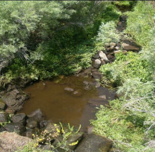 Wildlife Water Reservoir California Department of Fish & Game (2004)