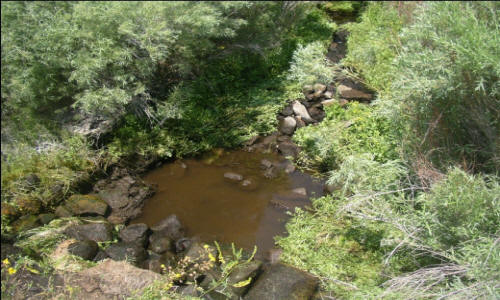 Wildlife Water Reservoir California Department of Fish & Game (2004)