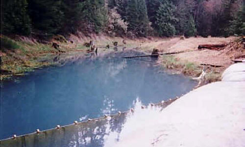 Cascade Mountains, OR (2000)