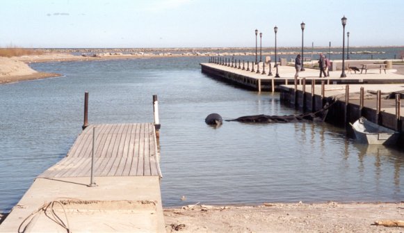 Boat Ramp Repair: Lake Erie, OH – 1999