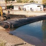 Boat Ramp Repair: Lake Havasu, AZ 1998