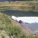 Culvert Isolation, Genoa Golf Course, Carson City, NV 2007