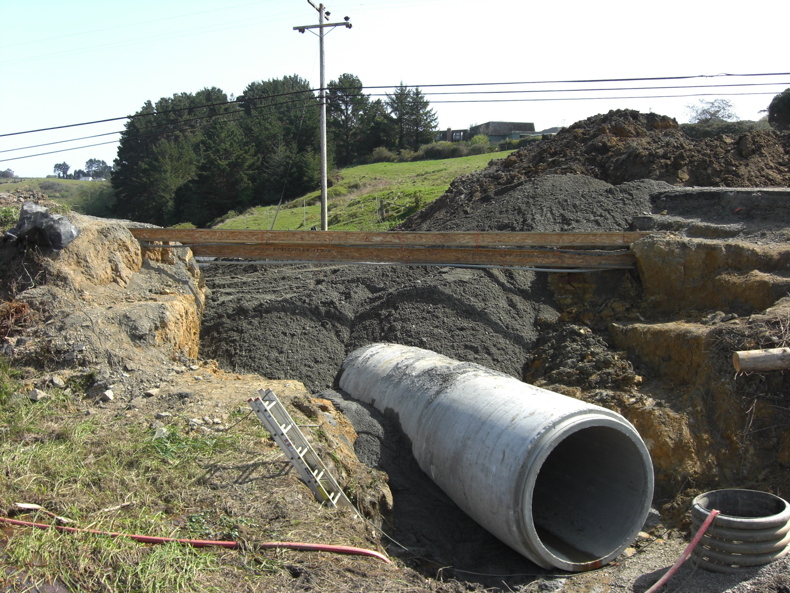 Loleta, CA 2010