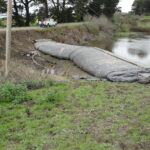 Loleta, CA 2010
