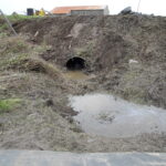Loleta, CA 2010