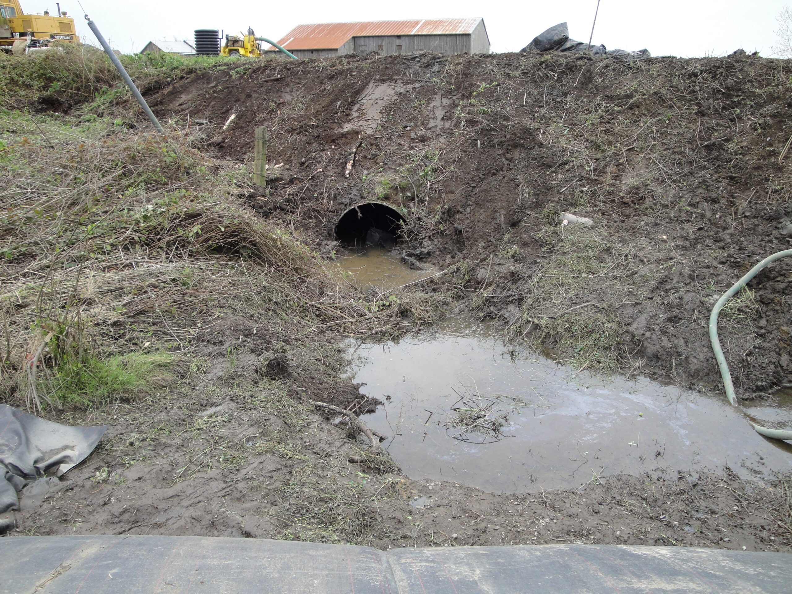 Loleta, CA 2010