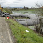 Loleta, CA 2010