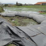 Loleta, CA 2010