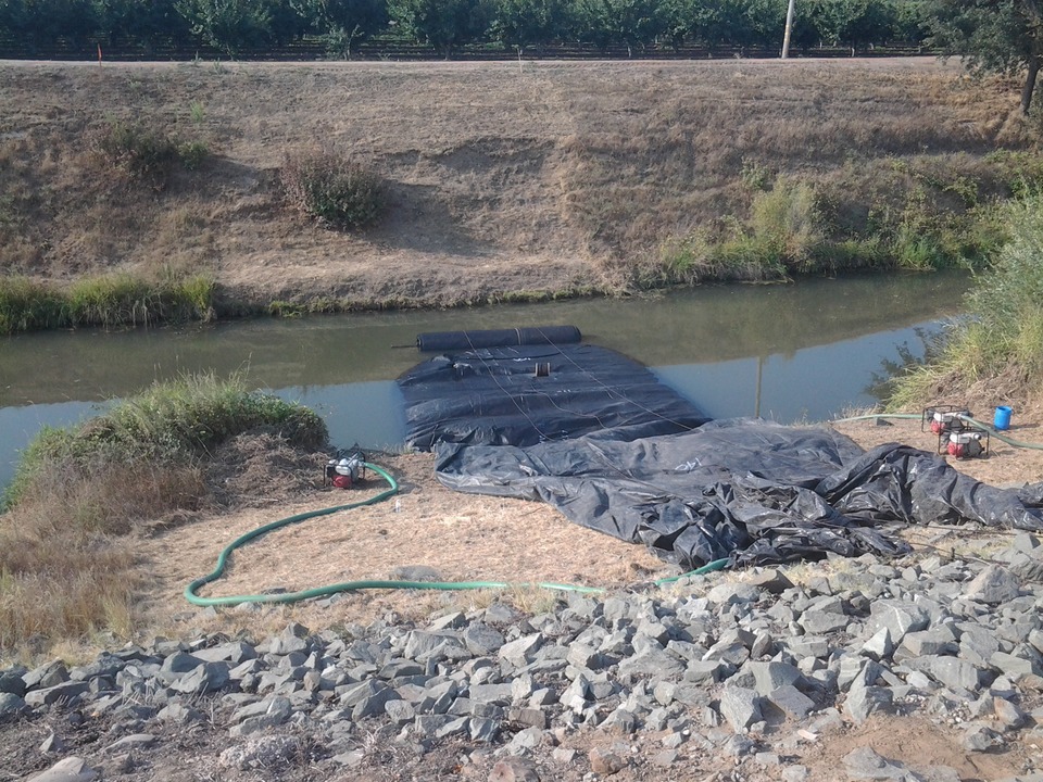 Canal Job Stockton, CA 2013