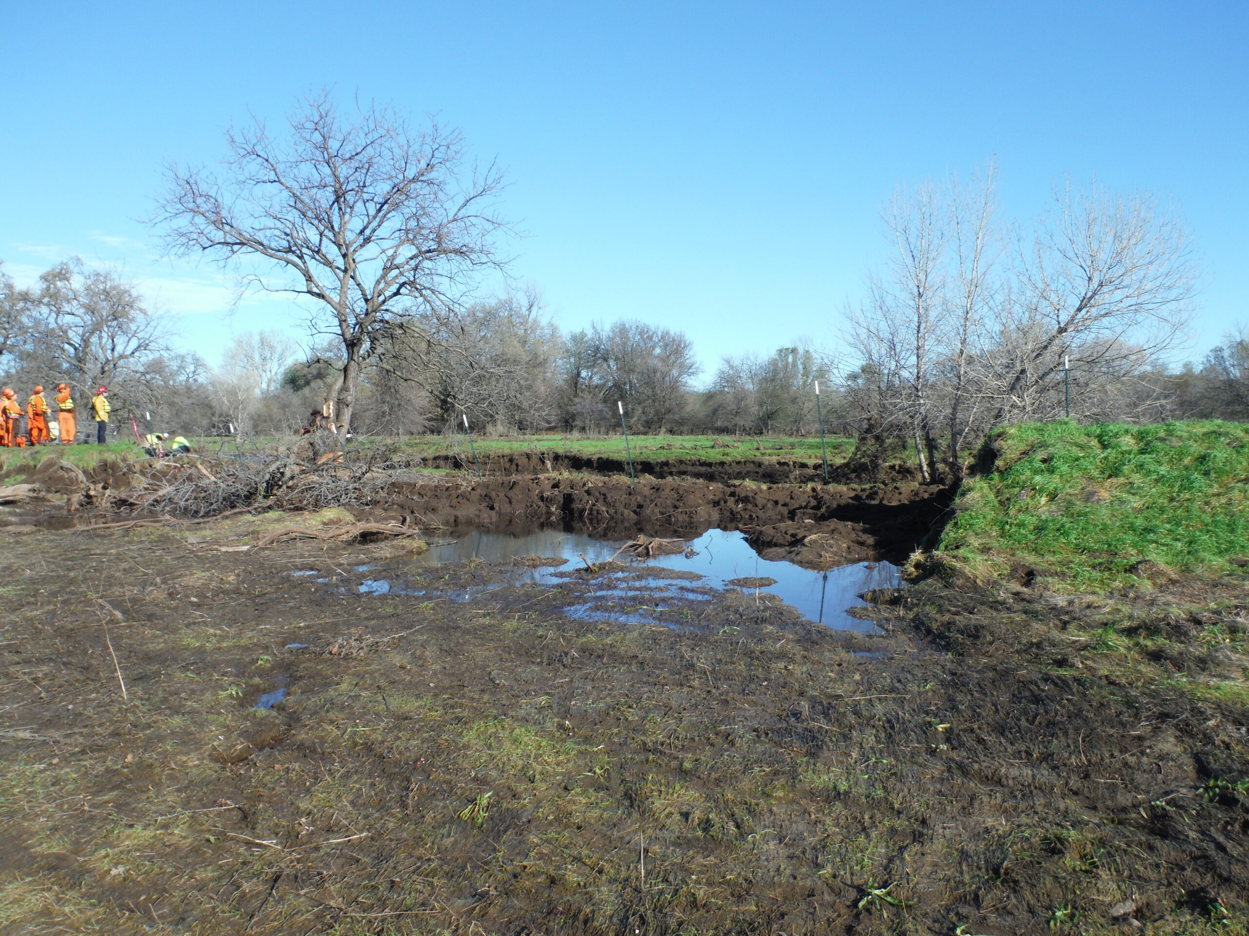 Red Bluff, CA 2014