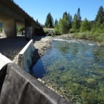 Trinity River, CA 2012