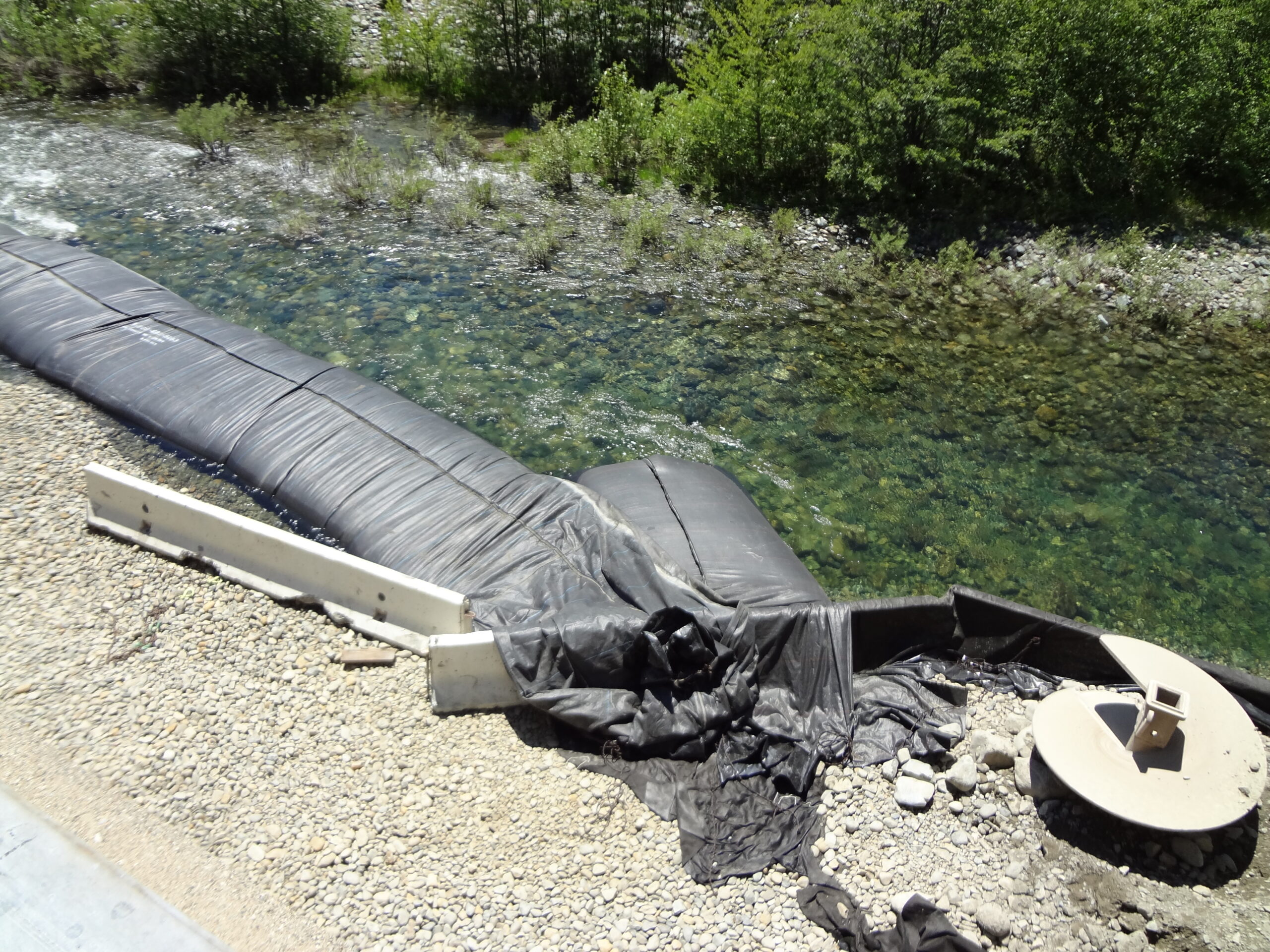 Trinity River, CA 2012