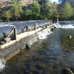 Deer Creek – Vina, CA 2019