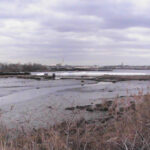 Staten Island, NY 2006